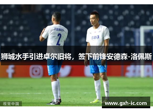 狮城水手引进卓尔旧将，签下前锋安德森-洛佩斯